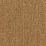 Canvas Teak